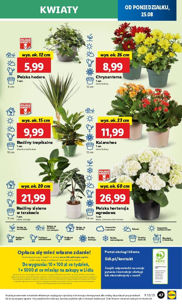 Gazetka promocyjna Lidl str. 53