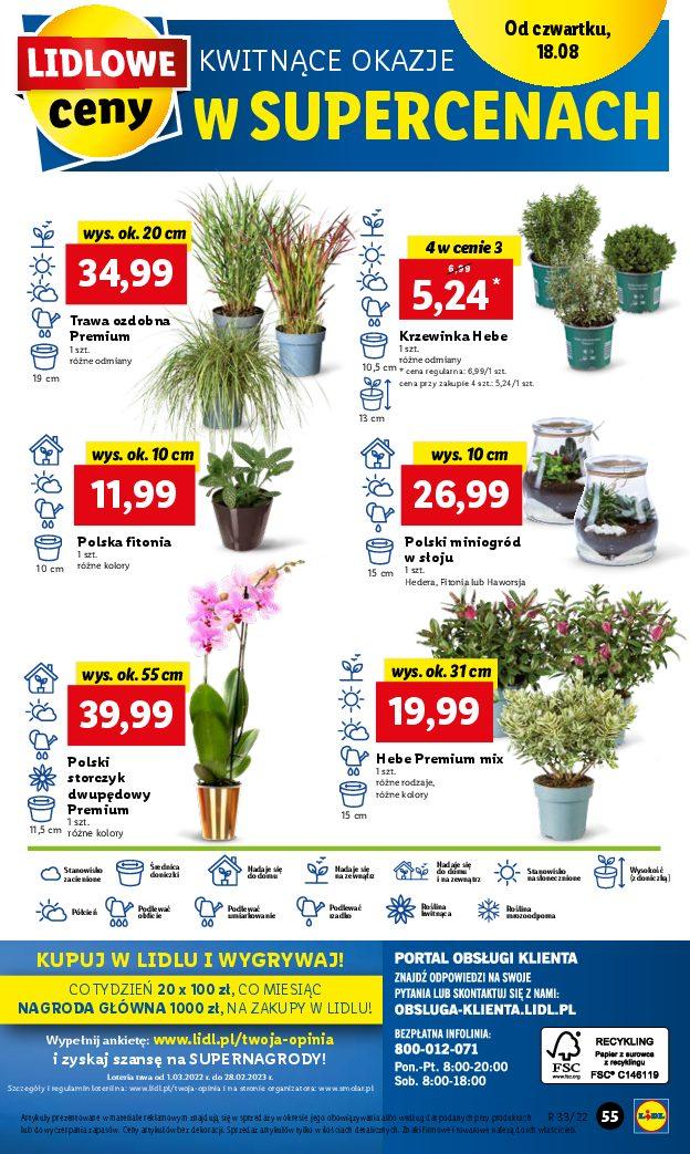 Gazetka promocyjna Lidl str. 55