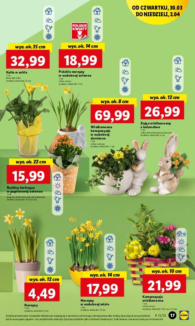 Gazetka promocyjna Lidl str. 17