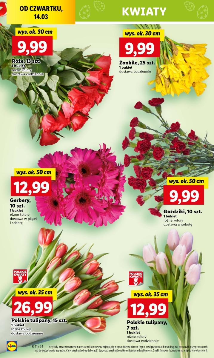 Gazetka promocyjna Lidl str. 62