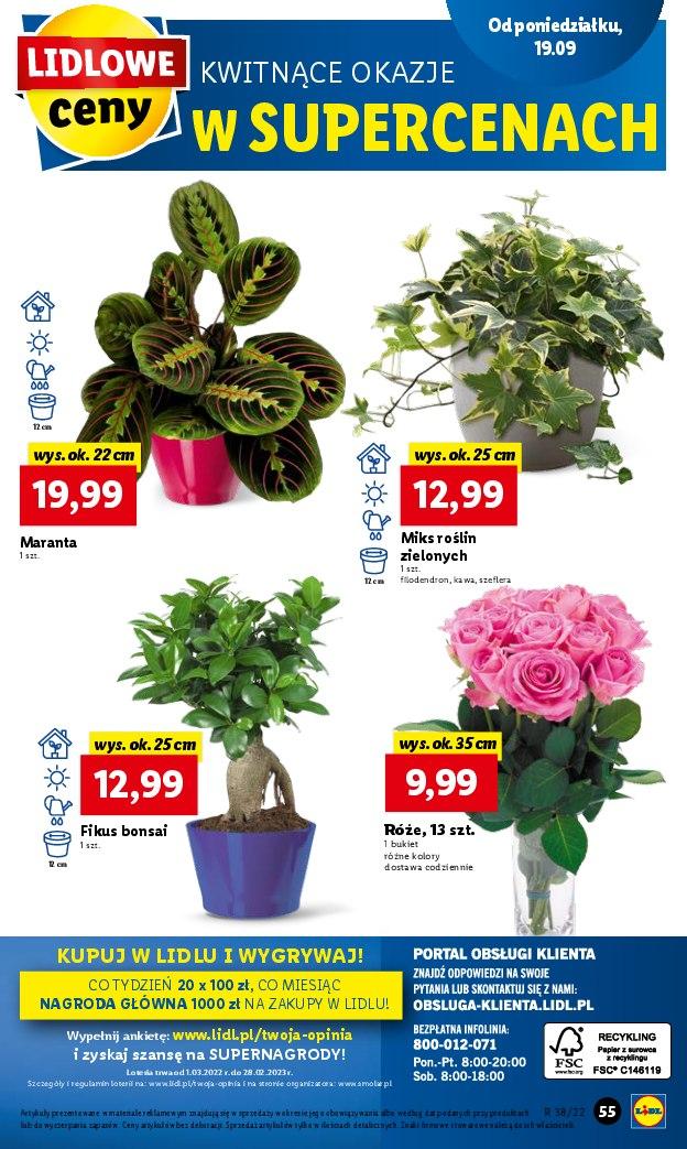 Gazetka promocyjna Lidl str. 55