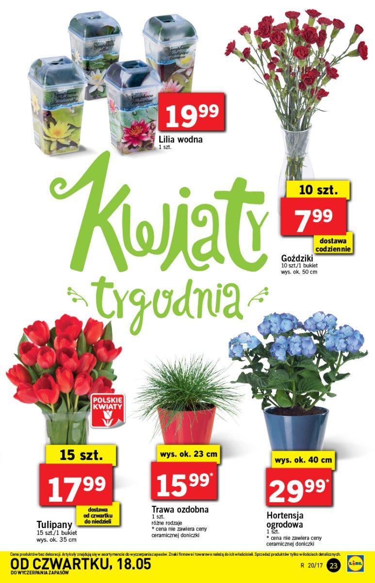 Gazetka promocyjna Lidl str. 23