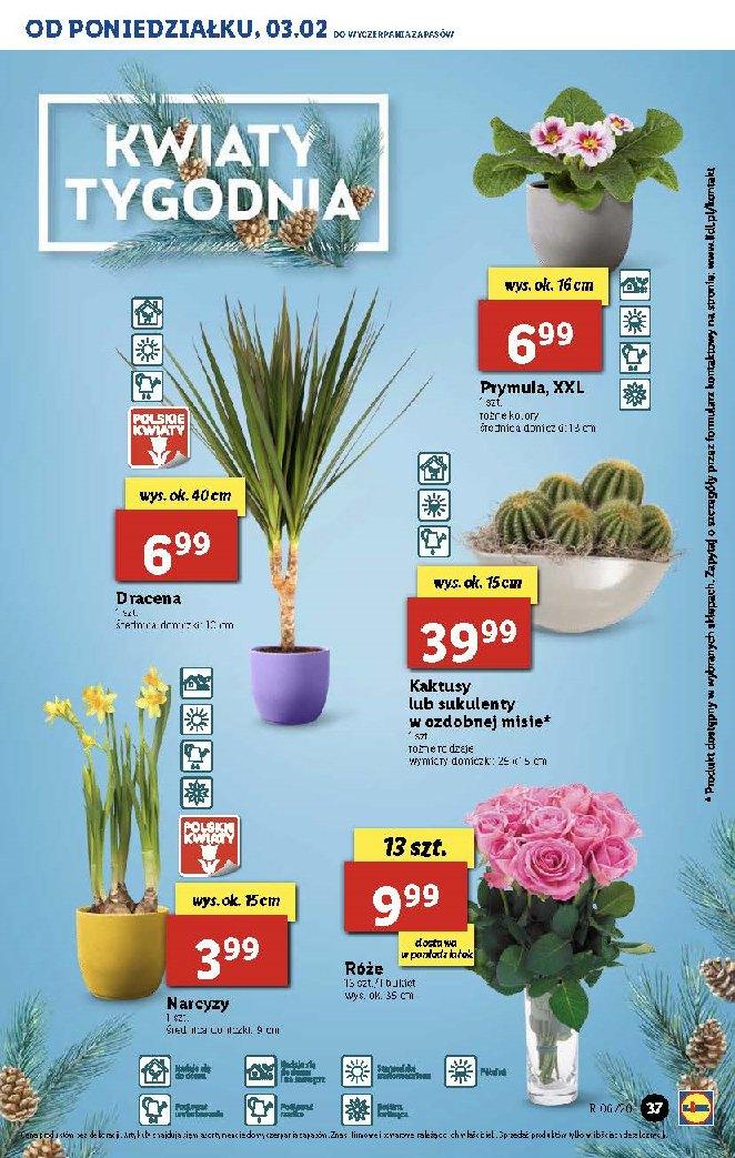 Gazetka promocyjna Lidl str. 37