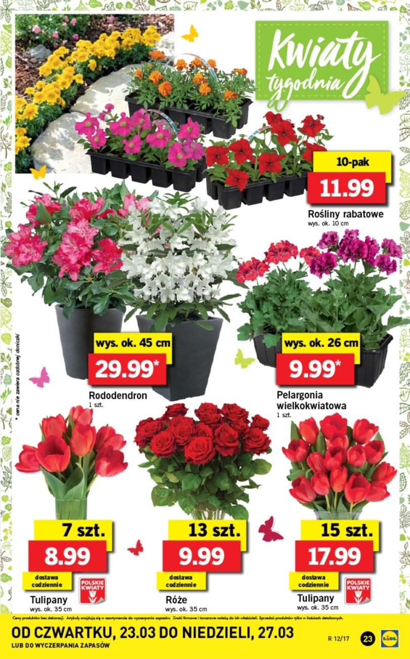 Gazetka promocyjna Lidl str. 23