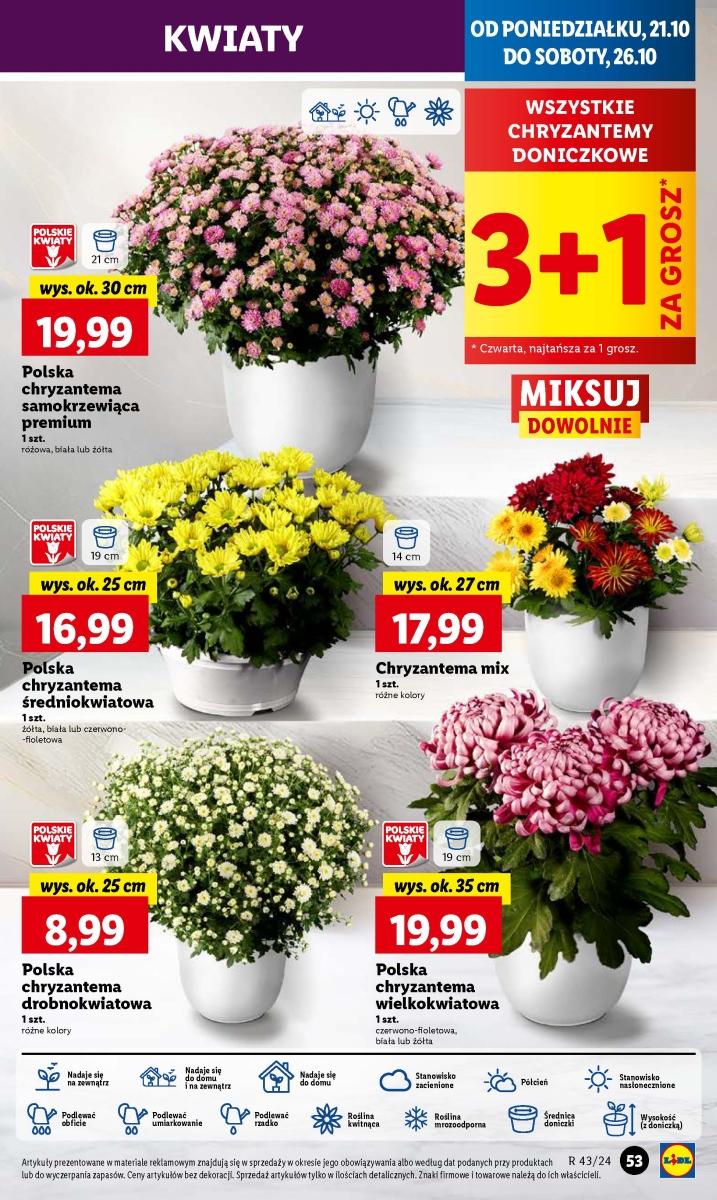Gazetka promocyjna Lidl str. 58