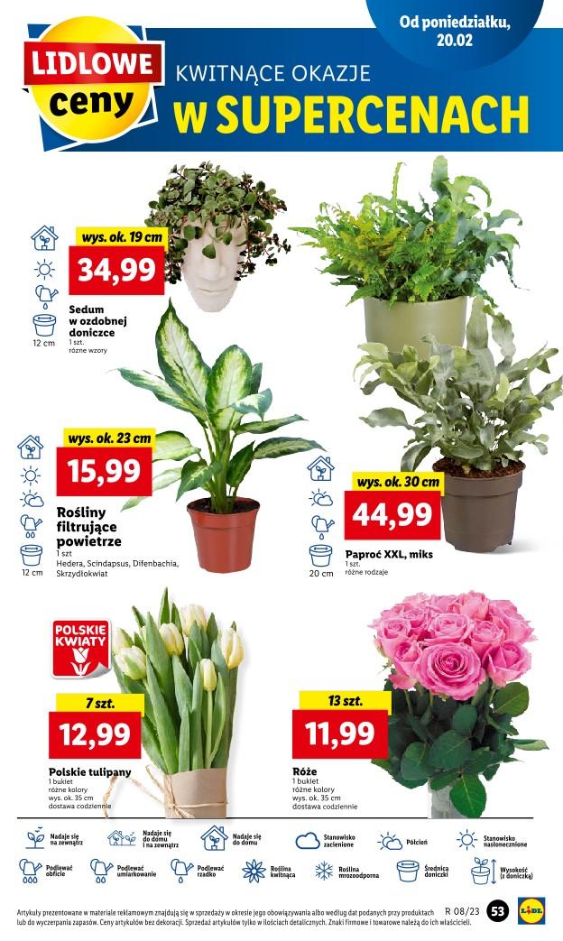 Gazetka promocyjna Lidl str. 61