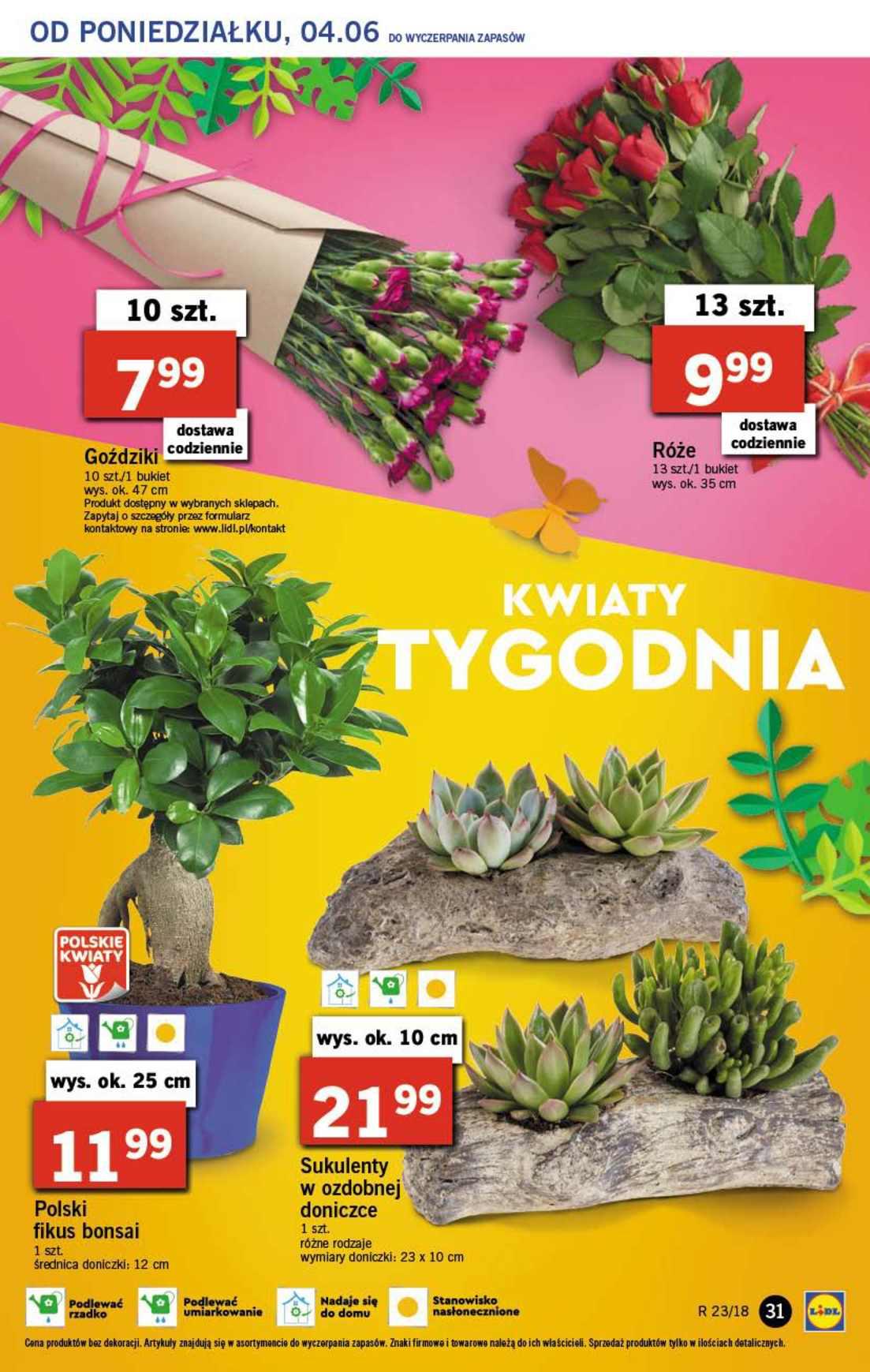 Gazetka promocyjna Lidl str. 31