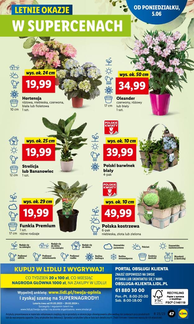Gazetka promocyjna Lidl str. 51