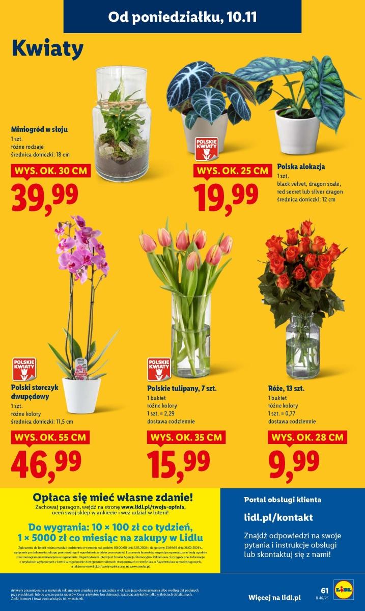 Gazetka promocyjna Lidl str. 63