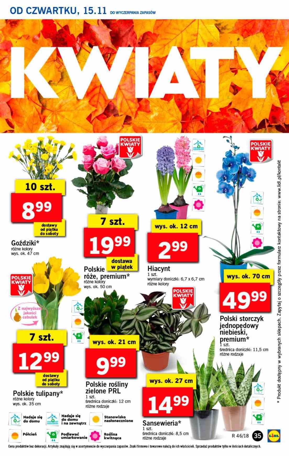 Gazetka promocyjna Lidl str. 35