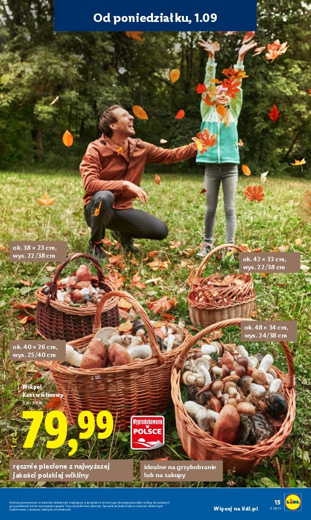 Gazetka promocyjna Lidl str. 17