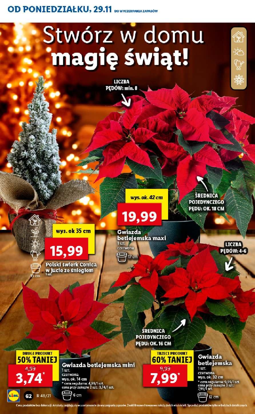 Gazetka promocyjna Lidl str. 62