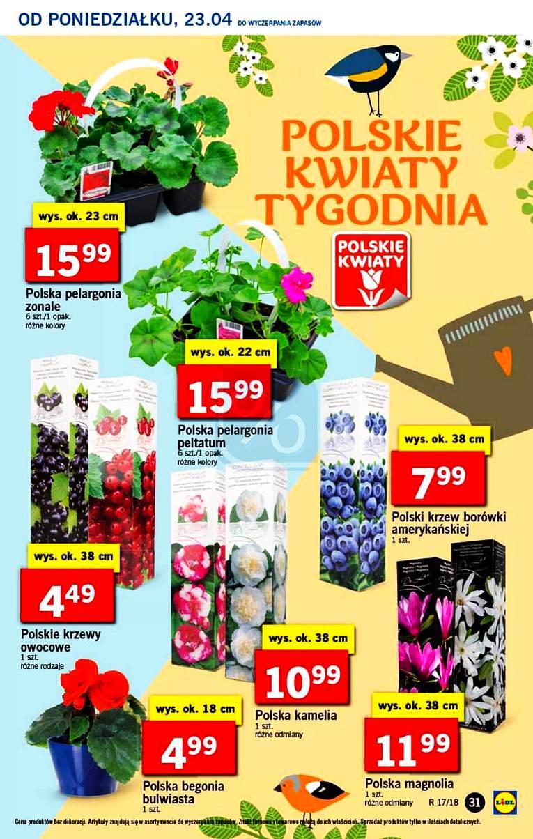 Gazetka promocyjna Lidl str. 31