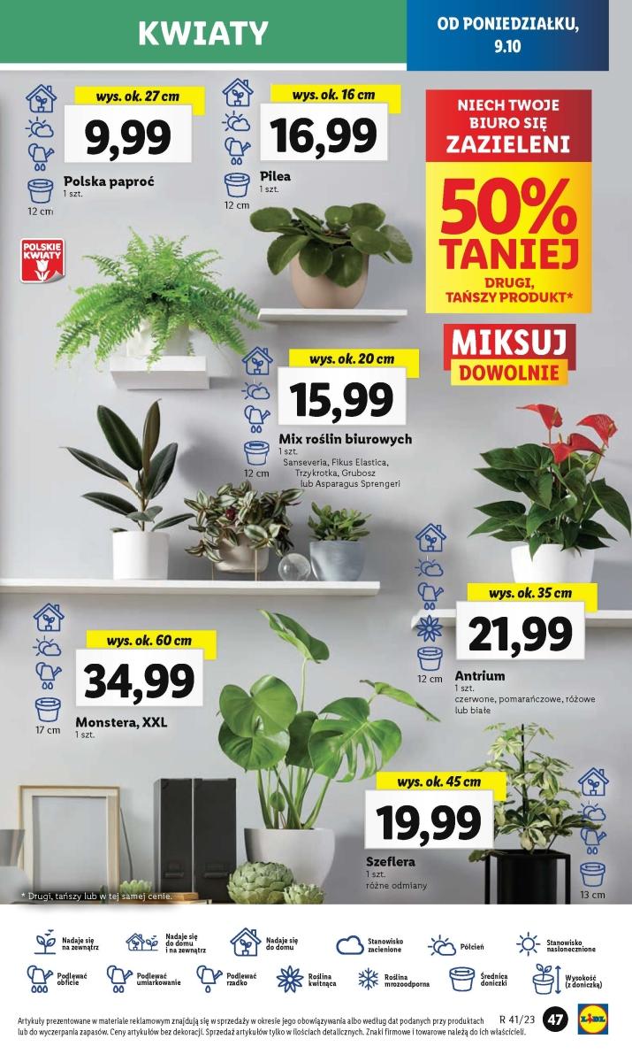 Gazetka promocyjna Lidl str. 51