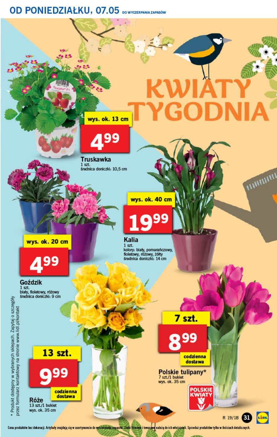Gazetka promocyjna Lidl str. 31