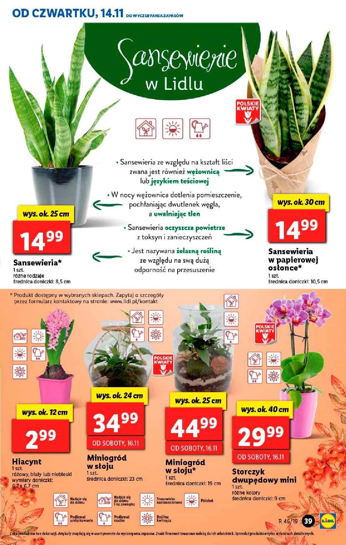 Gazetka promocyjna Lidl str. 39