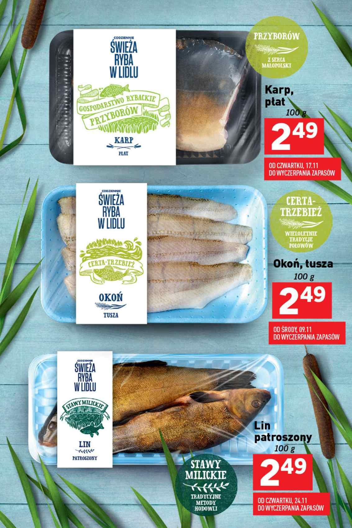 Gazetka promocyjna Lidl str. 13