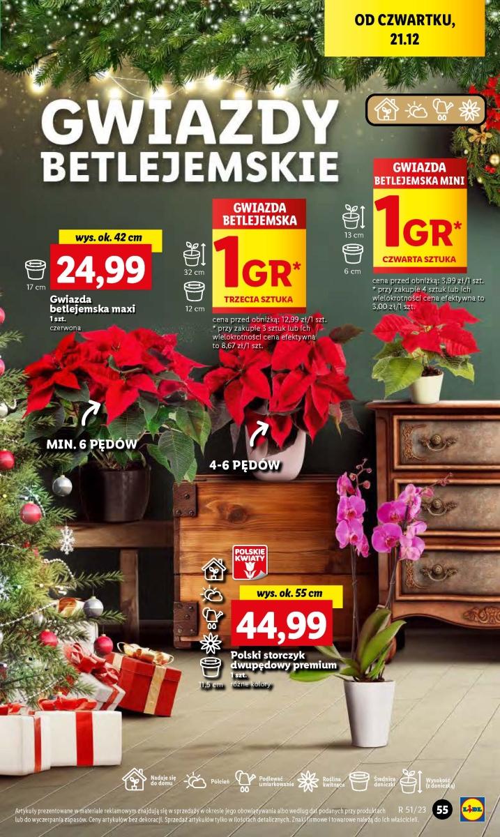 Gazetka promocyjna Lidl str. 59