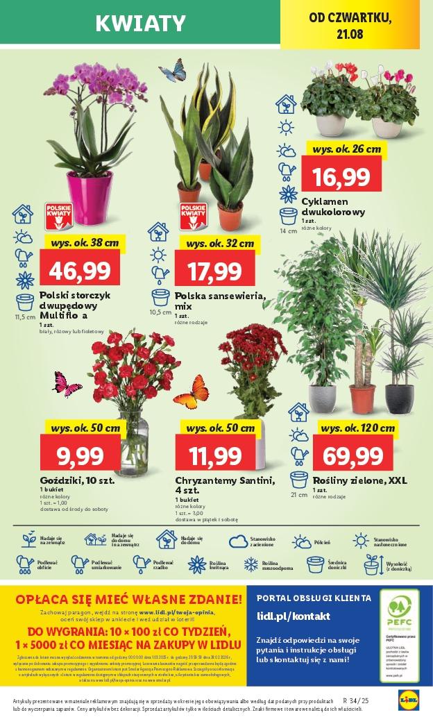 Gazetka promocyjna Lidl str. 49