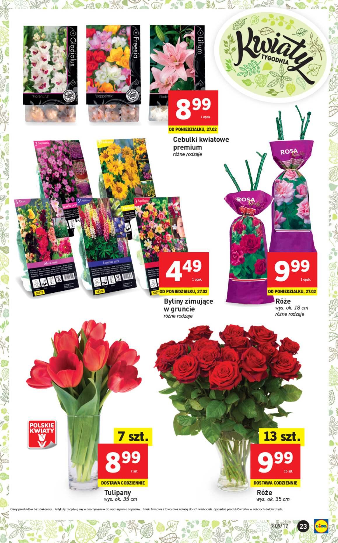 Gazetka promocyjna Lidl str. 23