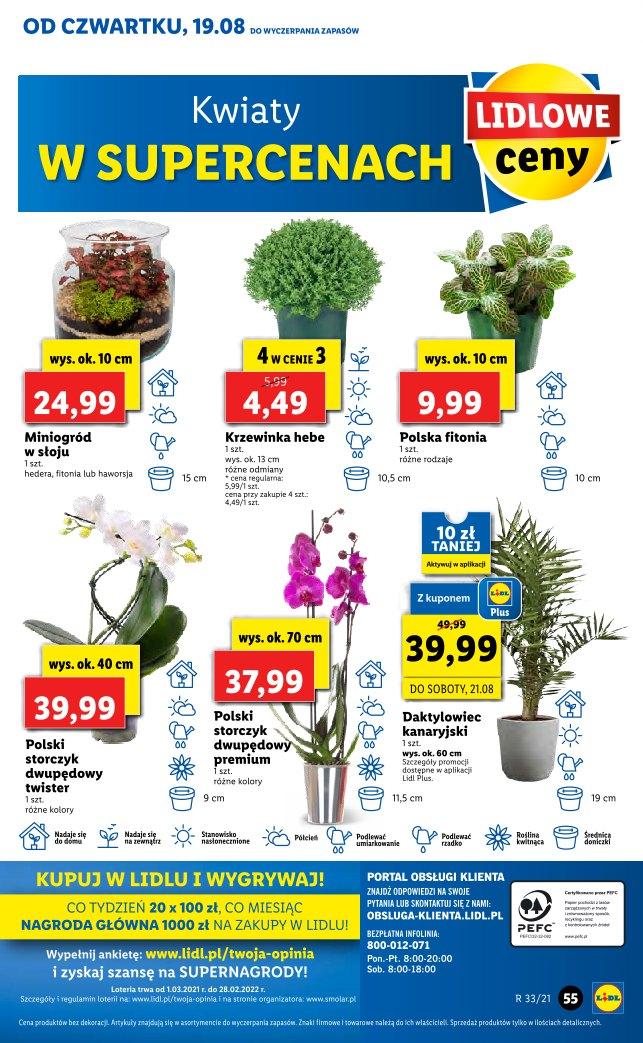 Gazetka promocyjna Lidl str. 55