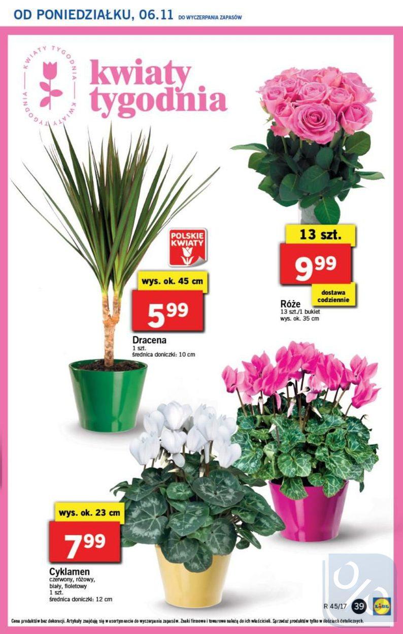 Gazetka promocyjna Lidl str. 39