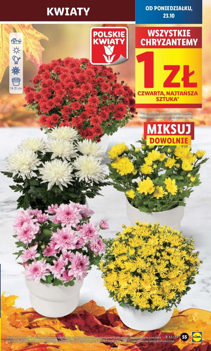 Gazetka promocyjna Lidl str. 60