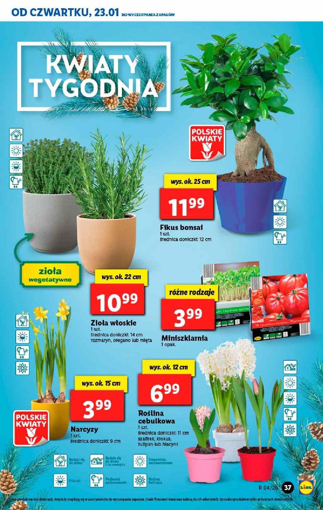 Gazetka promocyjna Lidl str. 37