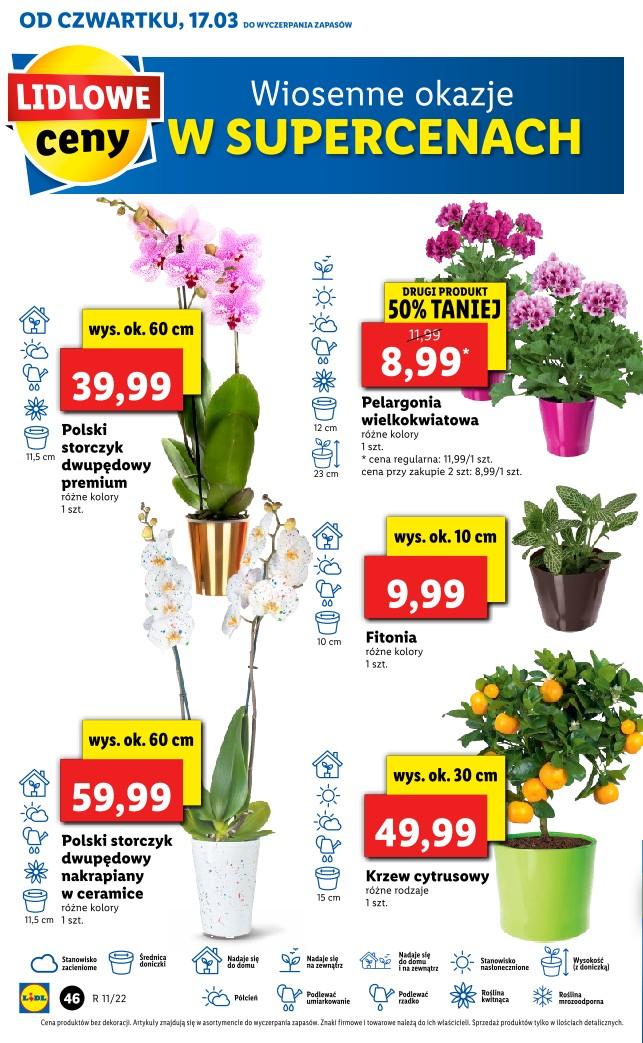 Gazetka promocyjna Lidl str. 46