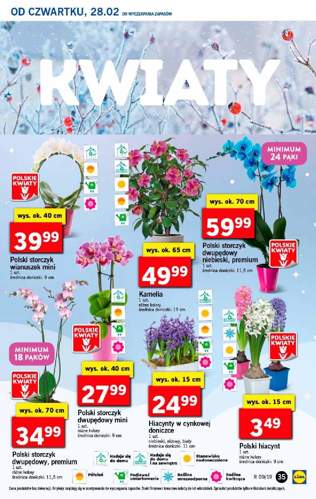 Gazetka promocyjna Lidl str. 35