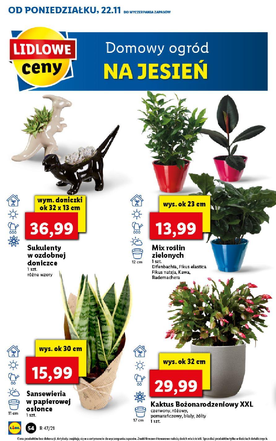 Gazetka promocyjna Lidl str. 54