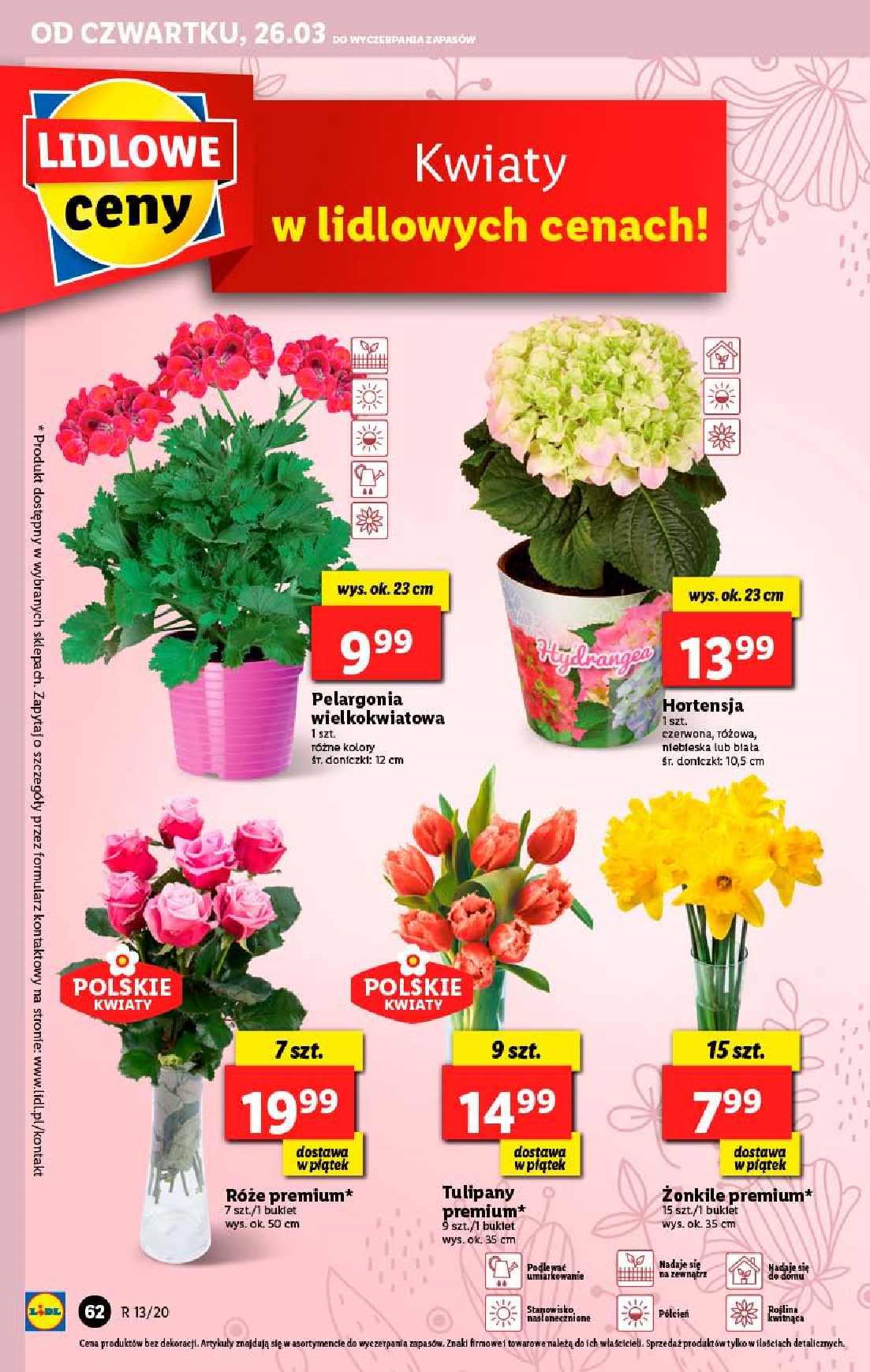 Gazetka promocyjna Lidl str. 62