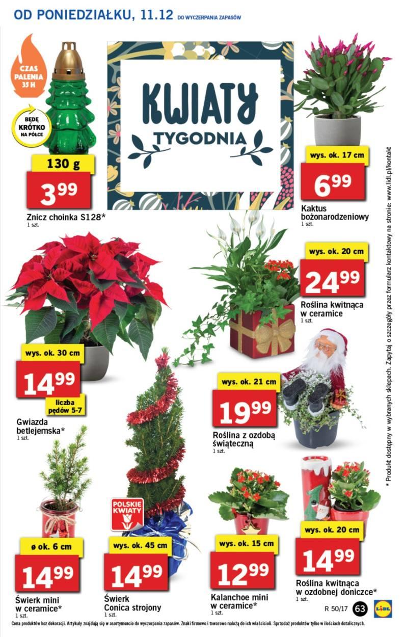 Gazetka promocyjna Lidl str. 63