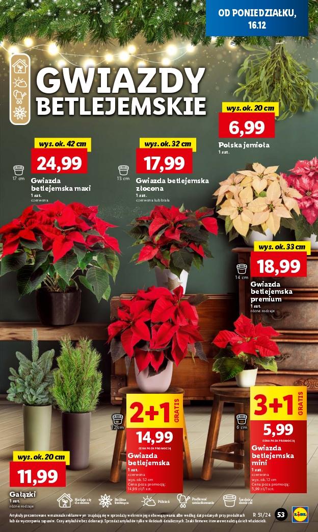 Gazetka promocyjna Lidl str. 63