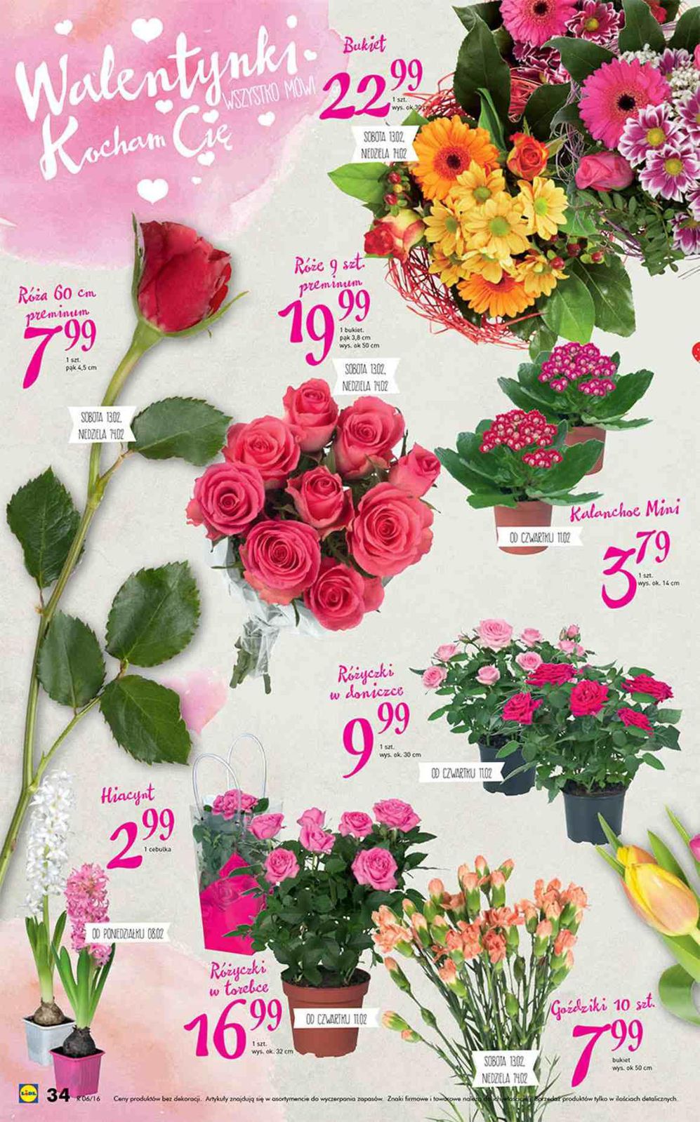 Gazetka promocyjna Lidl str. 34