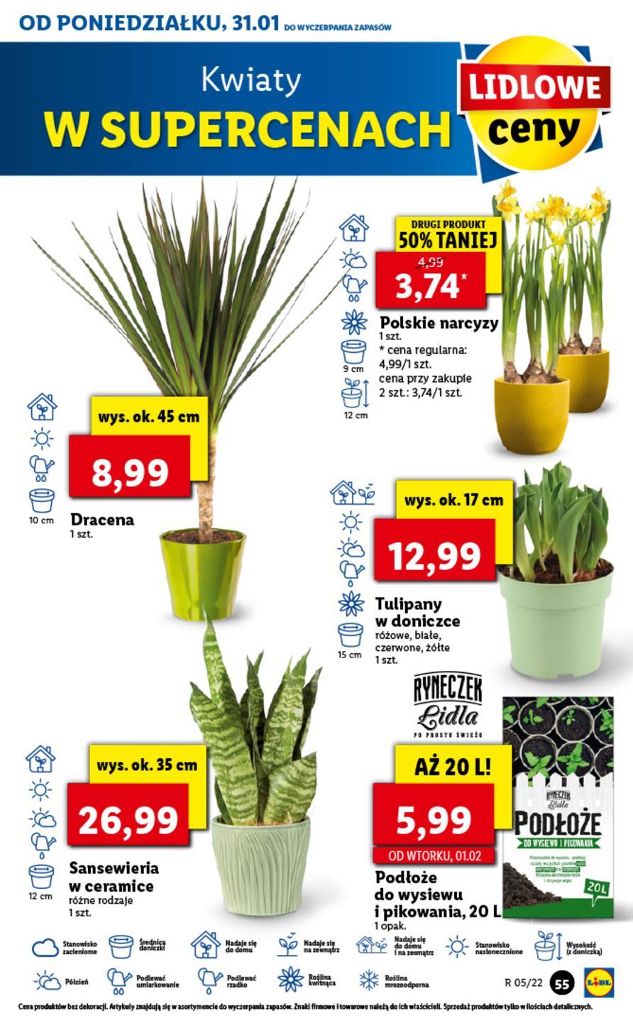 Gazetka promocyjna Lidl str. 55