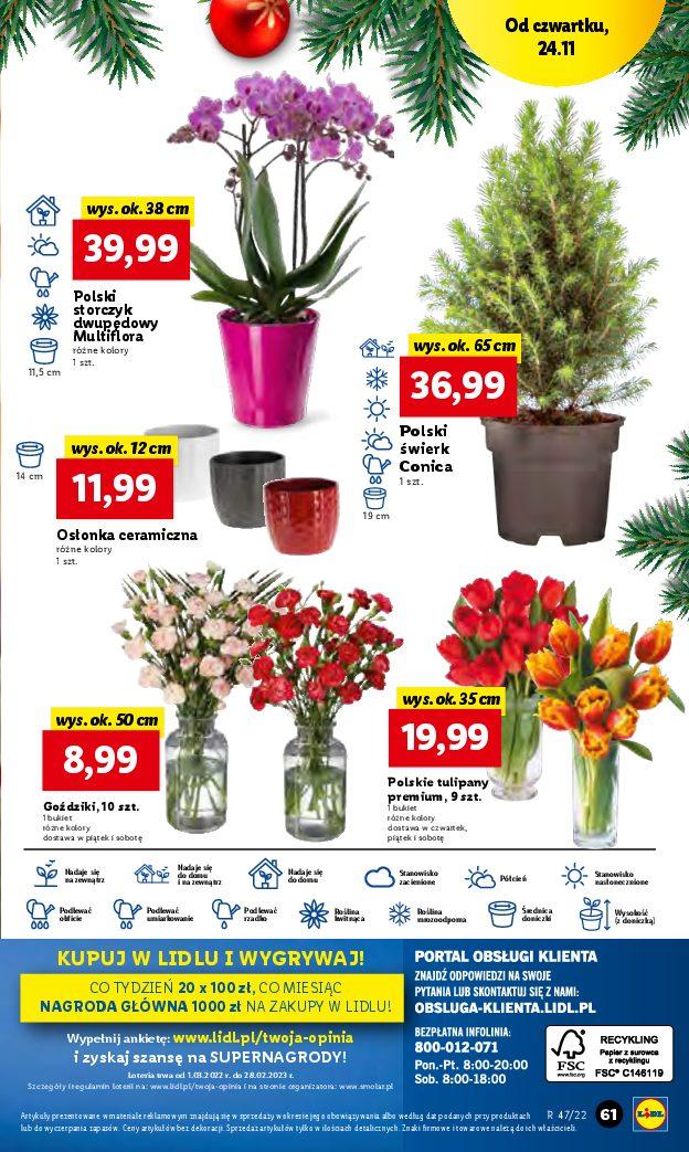 Gazetka promocyjna Lidl str. 63