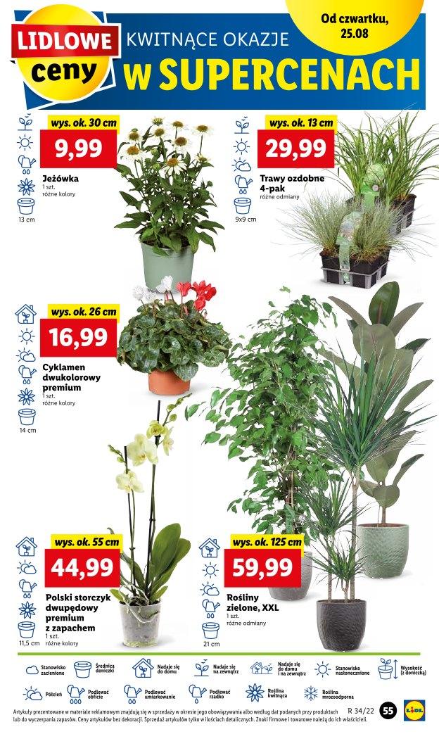 Gazetka promocyjna Lidl str. 54
