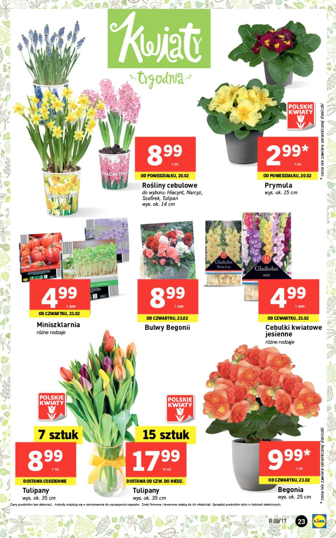 Gazetka promocyjna Lidl str. 23