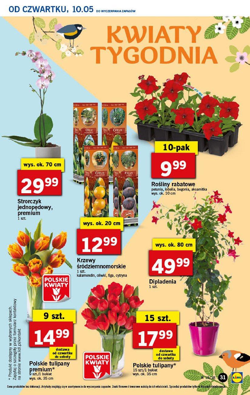 Gazetka promocyjna Lidl str. 31