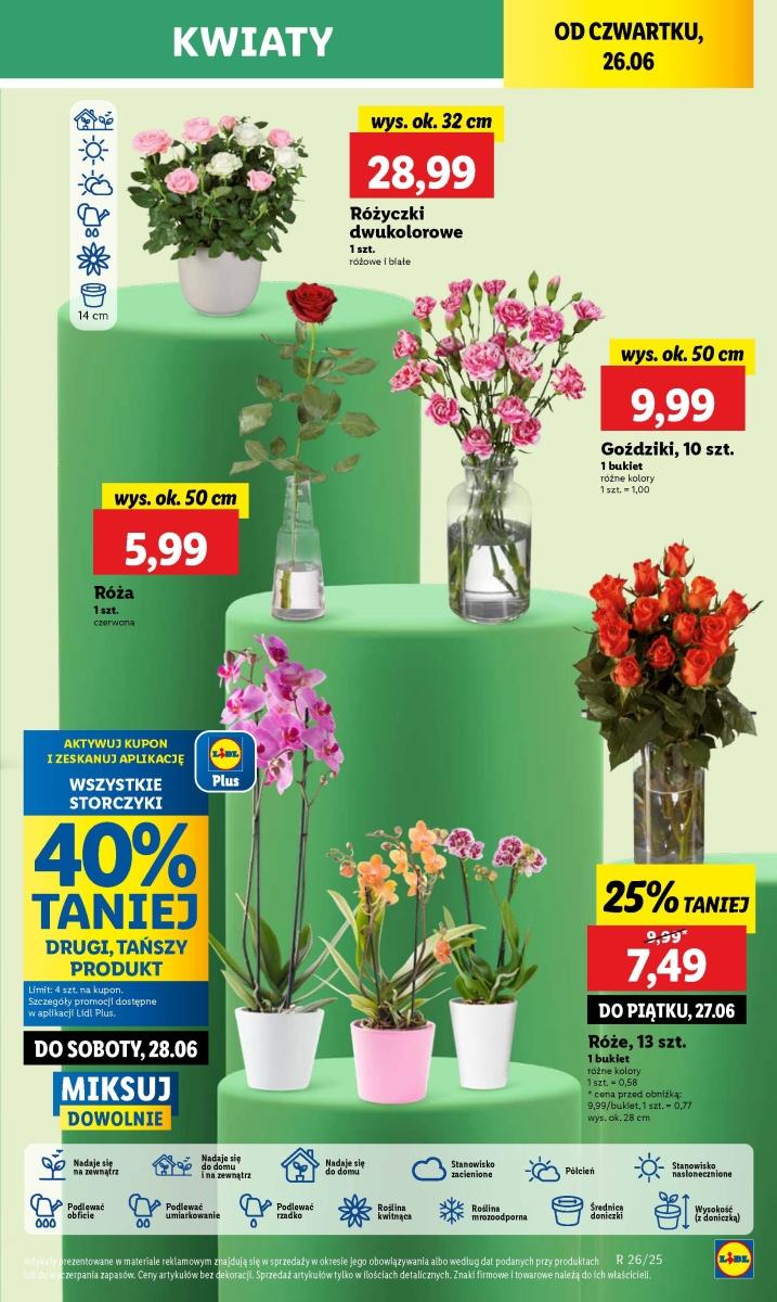 Gazetka promocyjna Lidl str. 58