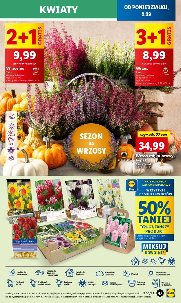 Gazetka promocyjna Lidl str. 55