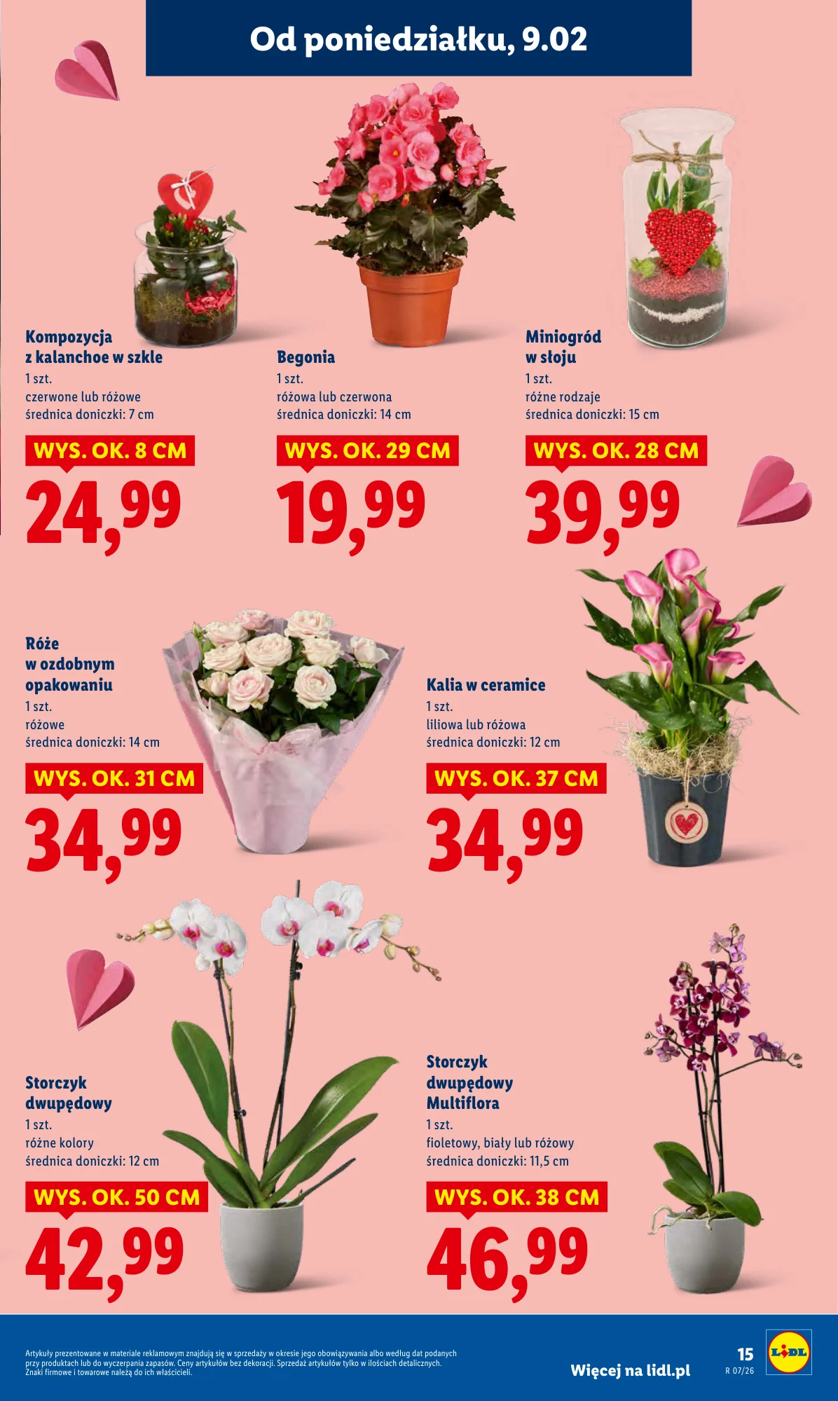 Gazetka promocyjna Lidl str. 15