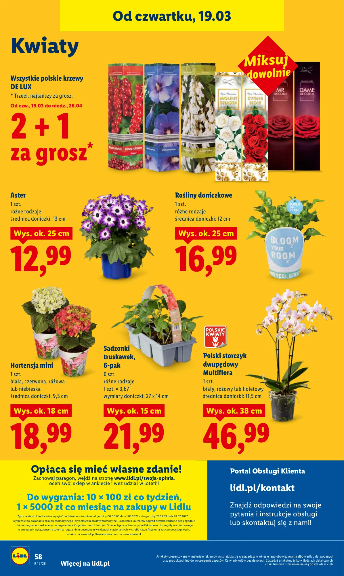 Gazetka promocyjna Lidl str. 58