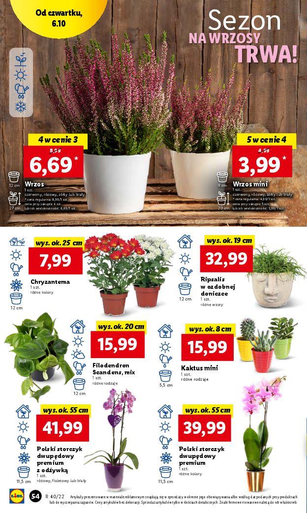 Gazetka promocyjna Lidl str. 54