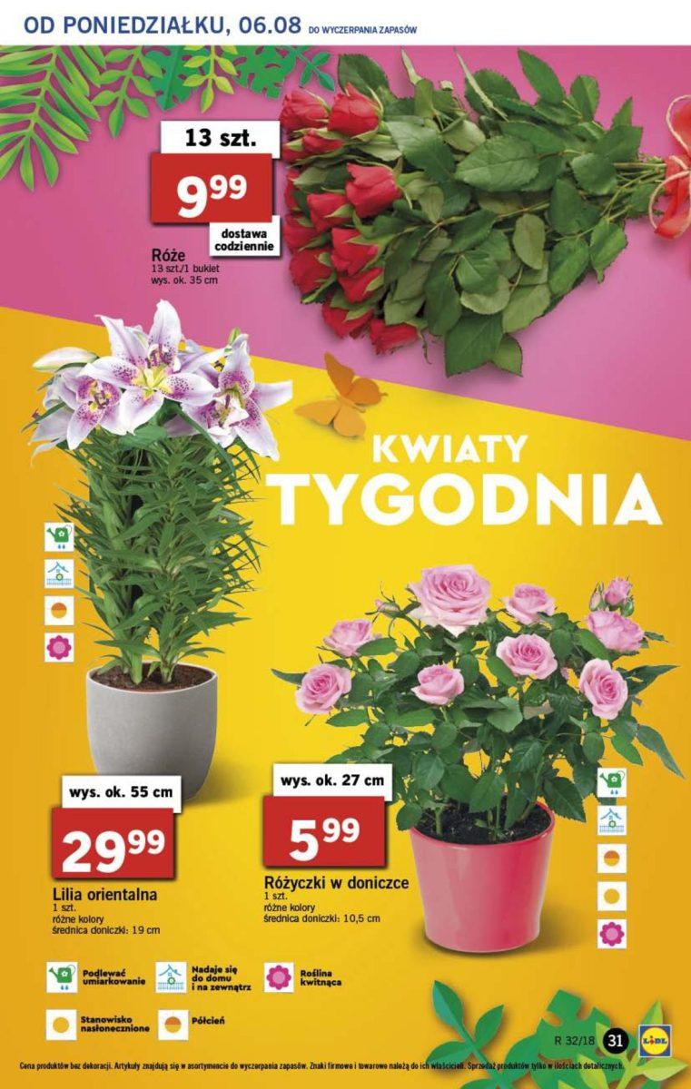 Gazetka promocyjna Lidl str. 31