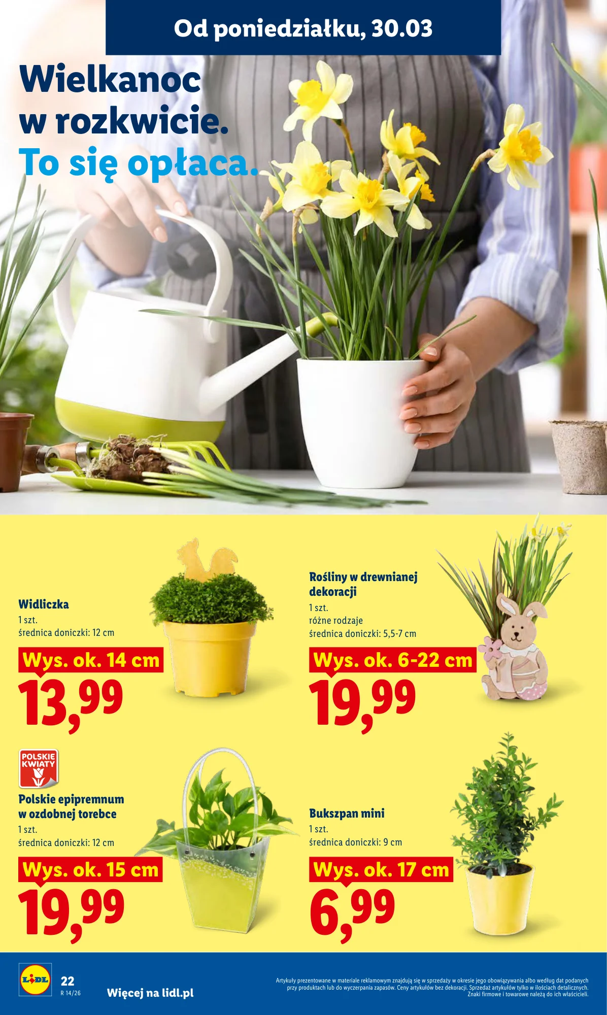 Gazetka promocyjna Lidl str. 22
