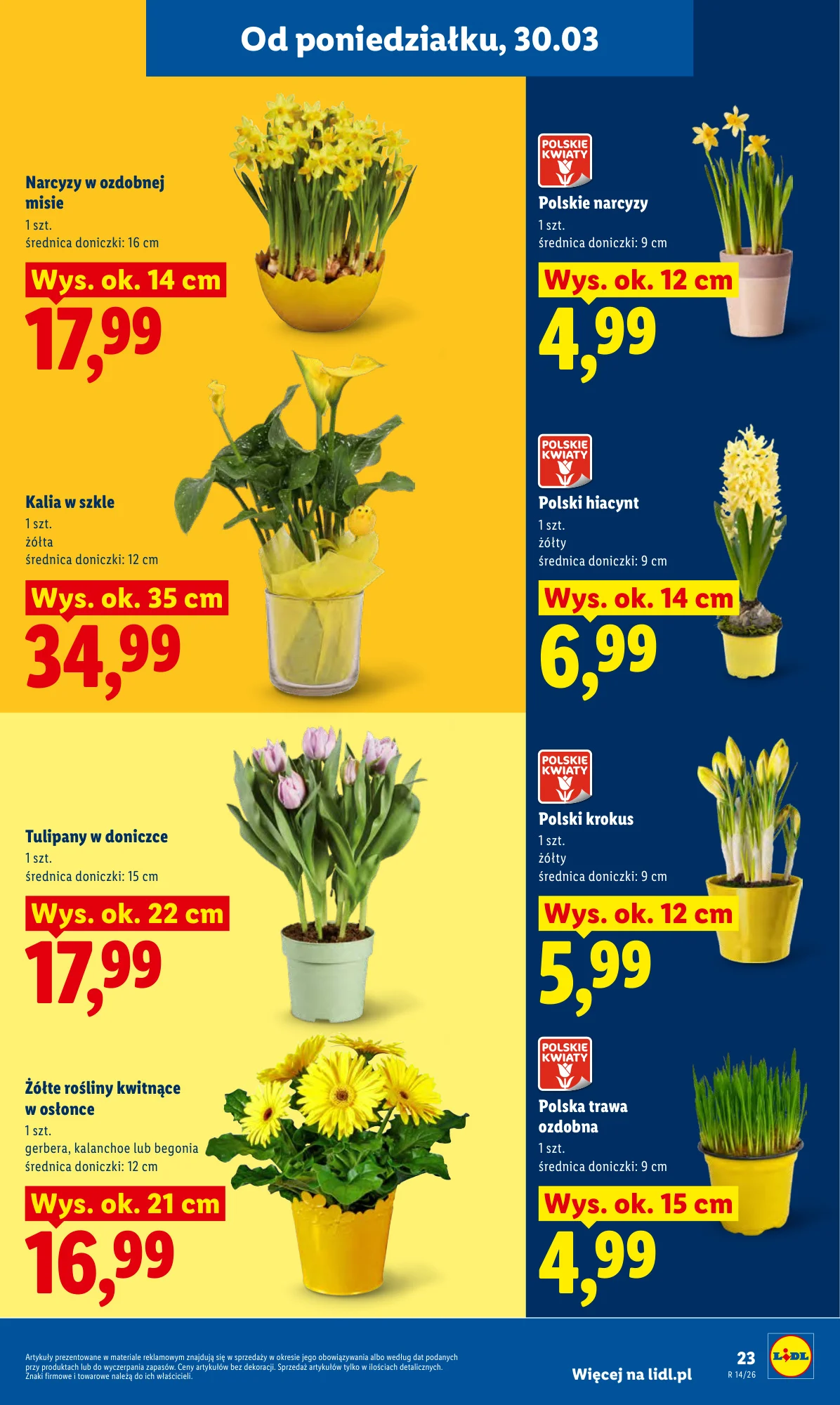 Gazetka promocyjna Lidl str. 23