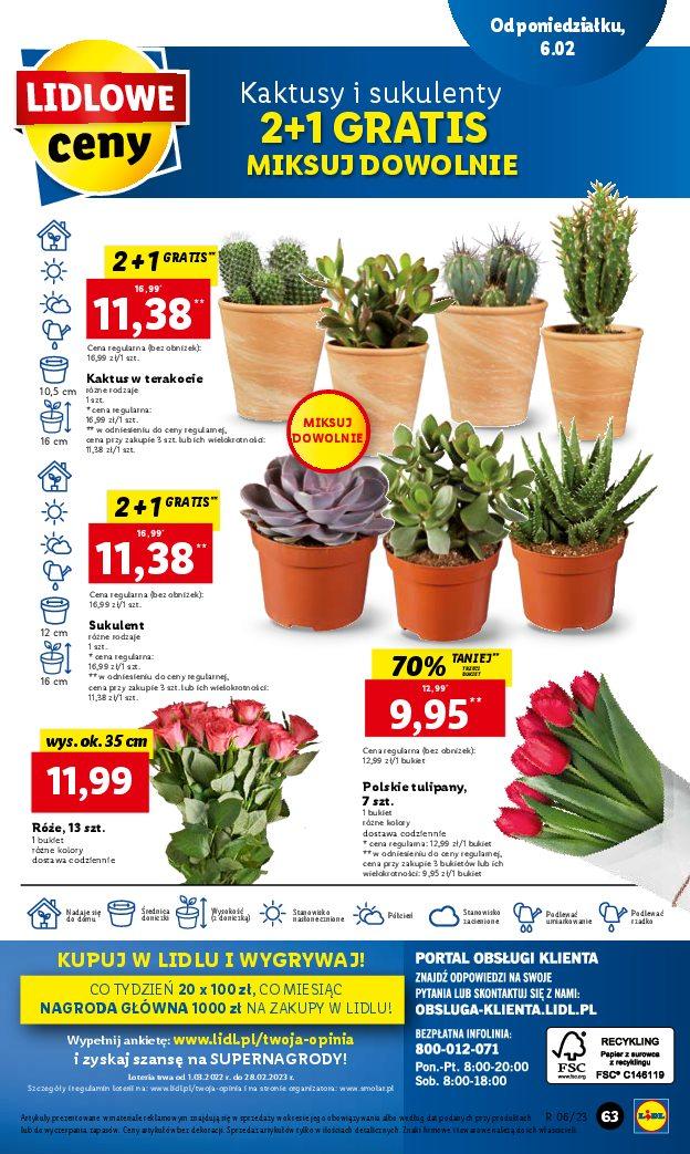 Gazetka promocyjna Lidl str. 65