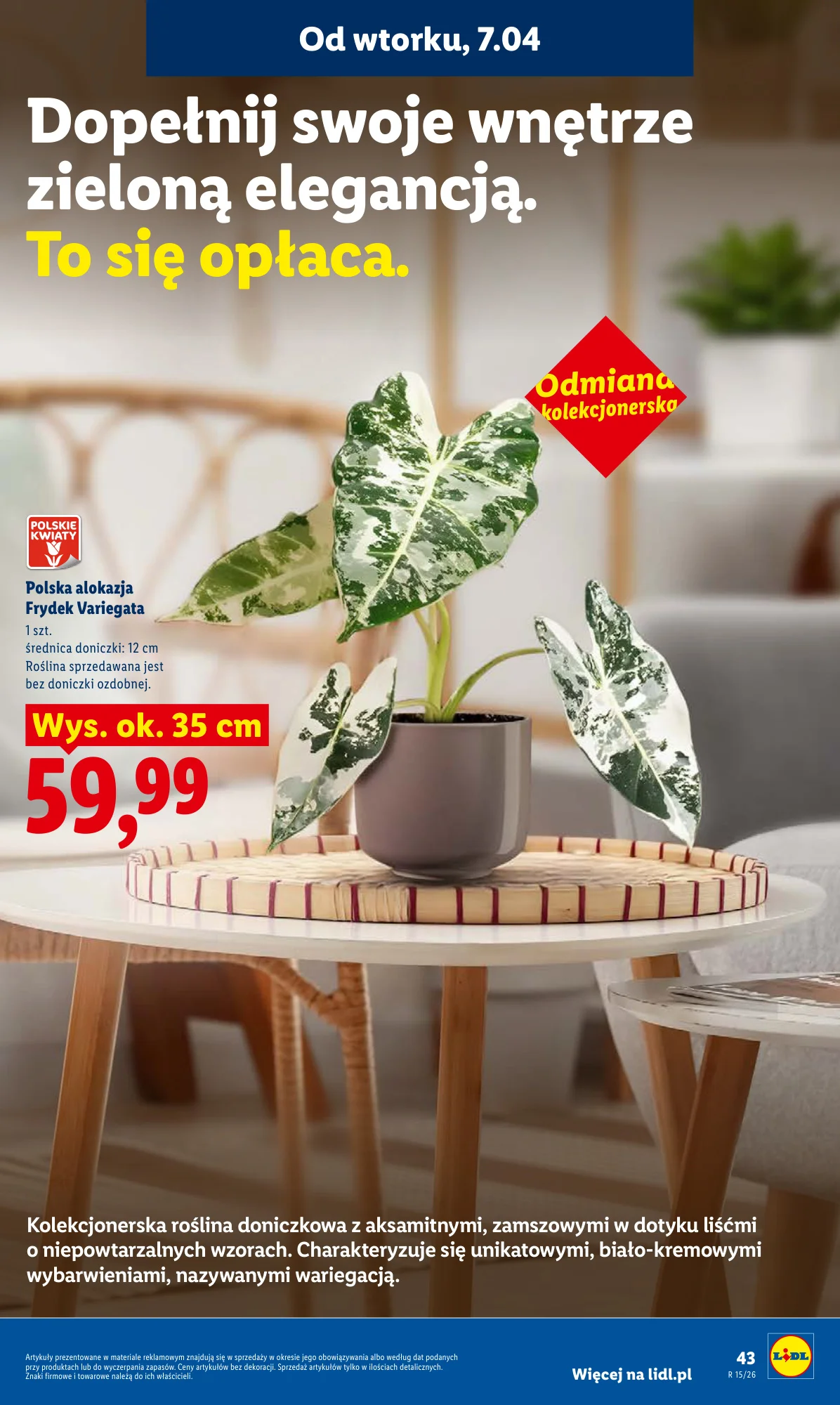 Gazetka promocyjna Lidl str. 47